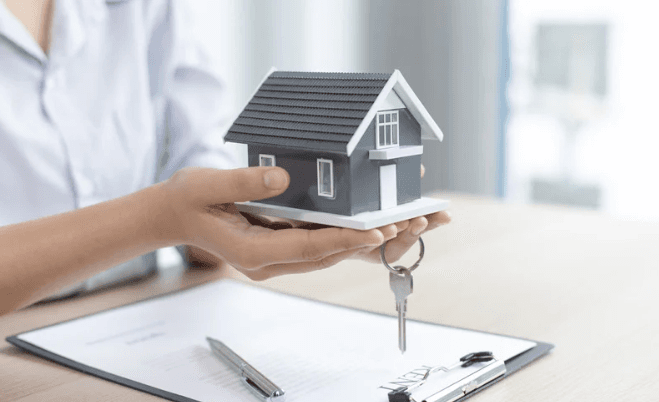 Loans